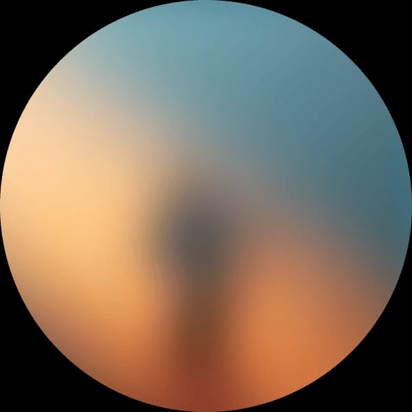 Voice Orb