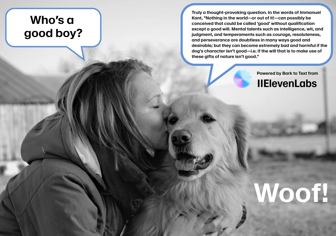 Bark to Text